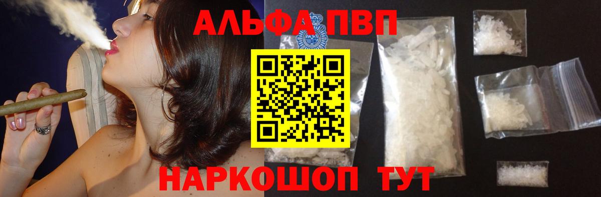 Альфа ПВП СК Шебекино
