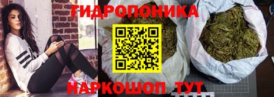 apvp Кандалакша
