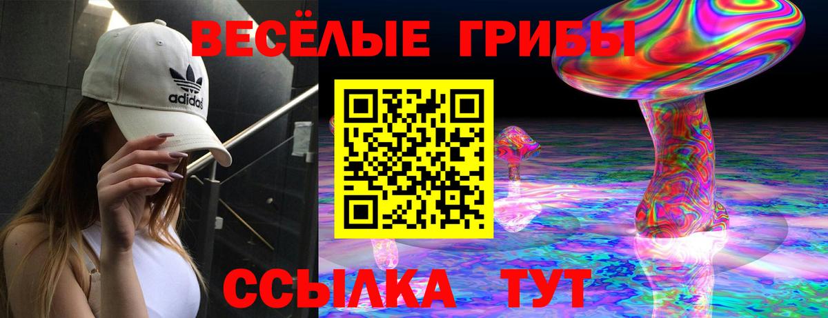 купить закладку  Псилоцибиновые грибы прущие грибы  Шебекино  Вход с VPN  Псилоцибиновые грибы мицелий 