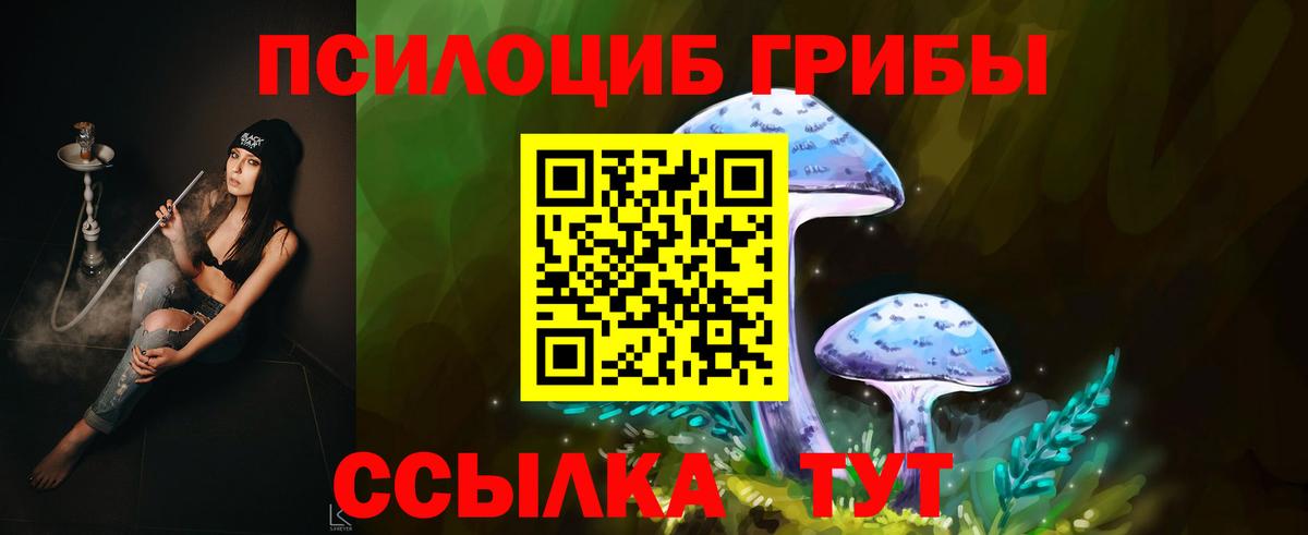Псилоцибиновые грибы Psilocybe Шебекино